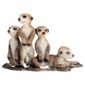 Schleich Meerkat Pups