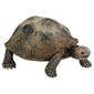 Schleich Giant Tortoise