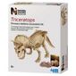 Natural History Museum Dig A Dino Triceratops
