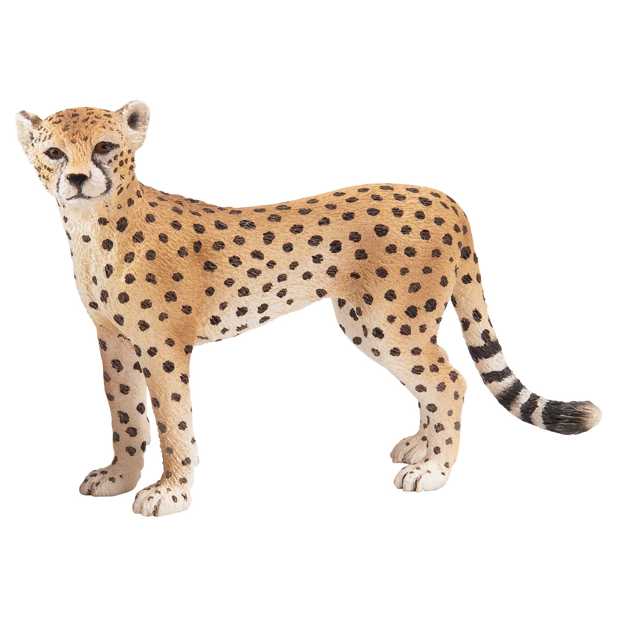 Schleich Cheetah, Female