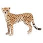 Schleich Cheetah, Female