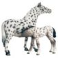 Schleich Knabstrupper Foal, Suckling