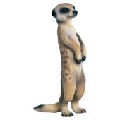 Schleich Meerkat, Standing