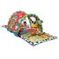 Playgro Tunnel Baby Activity Play Gym