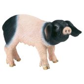 Schleich Swabian-Hall Piglet
