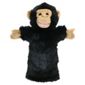 The Puppet Company  Chimp Pupet.