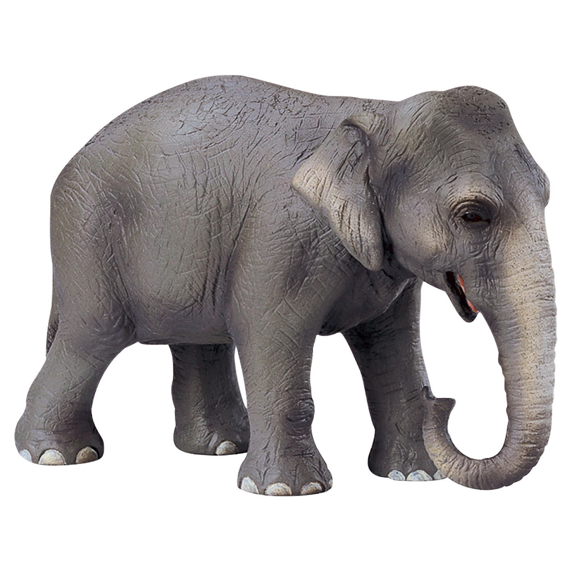 Schleich Asian Elephant, Female