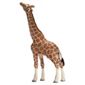 Schleich Giraffe, Male, Eating