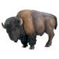 Schleich American Bison