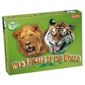 Wild Animals Of The World Quiz Card Game