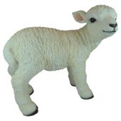 Real Life Lamb Ornament
