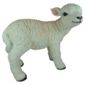Real Life Lamb Ornament