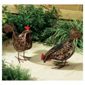 Metal Solar Hens - 2pk