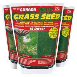 Canada Green MP Grass Seed