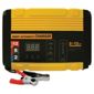 Smart battery charger, 12 AMP