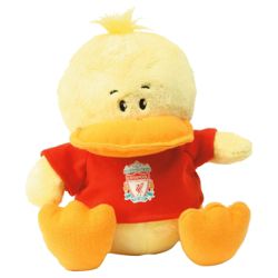 Liverpool Doodles Duck
