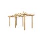 Extended Ashcott Pergola - Includes Spikes for soft ground
