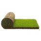 Rolawn Medallion Turf 40 rolls