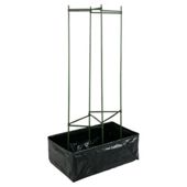 Botanico Lets Grow Tomato Growing Kit