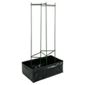 Botanico Lets Grow Tomato Growing Kit