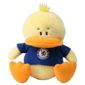 Chelsea Doodles Duck