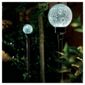 Border balls - white