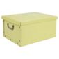 Pois Box Large 48x36x19cm Green 2 pack