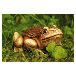 Woodland Friends Wooden Effect Frog