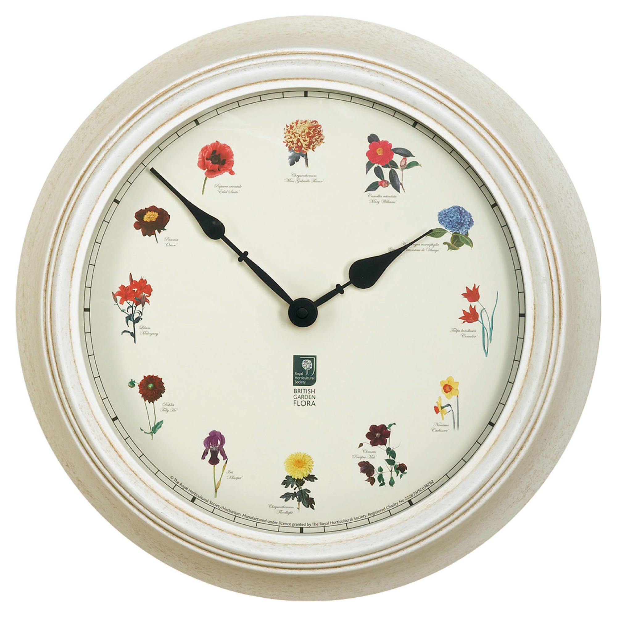 RHS British Garden Roses clock 