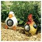Farmyard Animal Spotlights Hen & Duck