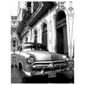 Cuba Car Canvas 77x57x2.5cm