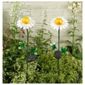 Daisy Metal Flower Solar Lights, 2 pack