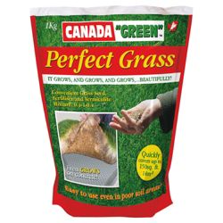 Canada Green Perfect Grass