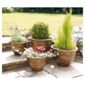 Pack of 4 Antique Effect Planters