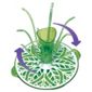 Munchkin Sprout Drying Rack