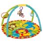 Bright Starts Jammin' Jungle Activity Gym