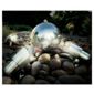 Stainless steel spot lights