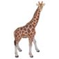 Real Life Giraffe  Ornament