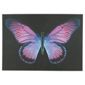 Purple Butterfly Canvas