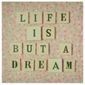 Life Is But A Dream Canvas