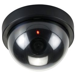 Dummy Internal Dome Camera