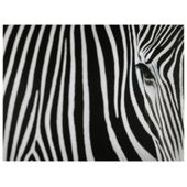 Zebra Canvas