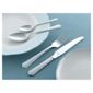 Amefa Monogram Dubarry 44 piece, 6 Person Boxed Cutlery Set