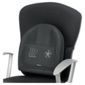 DS Fellowes Heat & Soothe Back Support