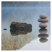 Reflected Rocks Canvas