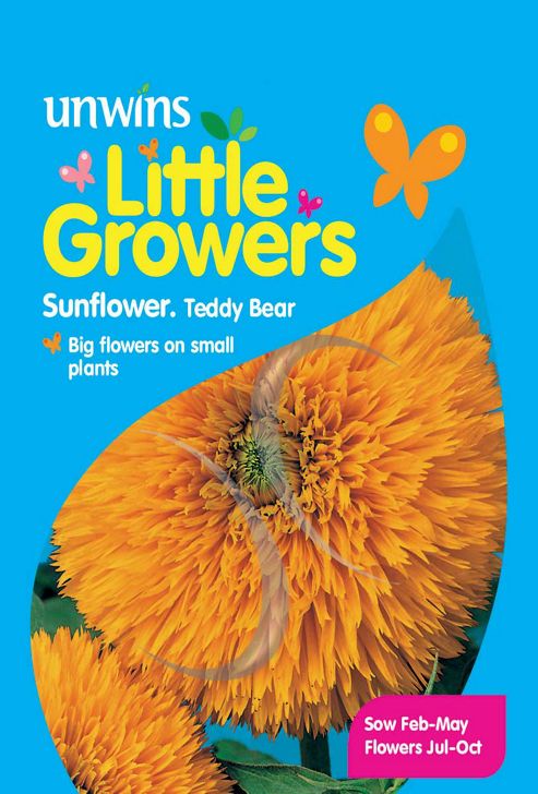 Image of Little Growers Sunflower Teddy Bear