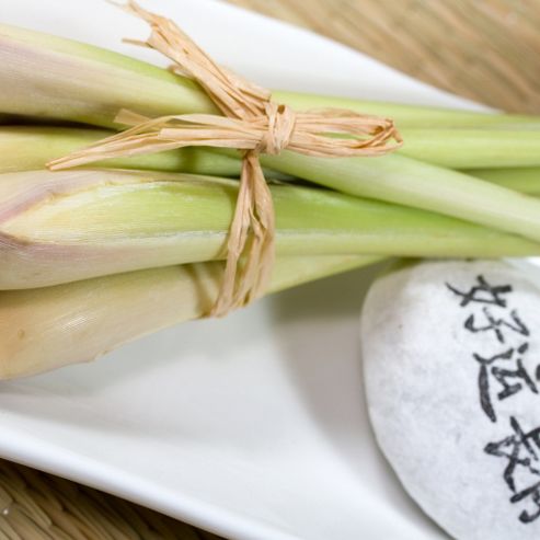 Image of Lemon Grass - 1 Packet (50 Seeds)