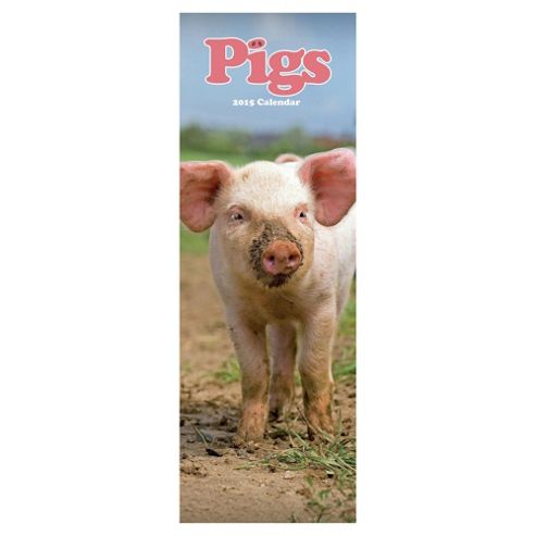 Image of Pigs 2015 Slim Calendar