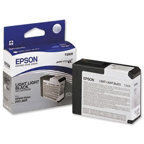 Image of Epson Singlepack Light Light Black T580900