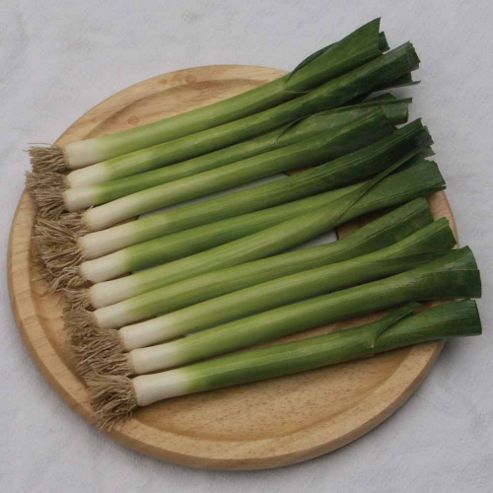 Image of Leek 'nipper' - 1 Packet (250 Leek Seeds)
